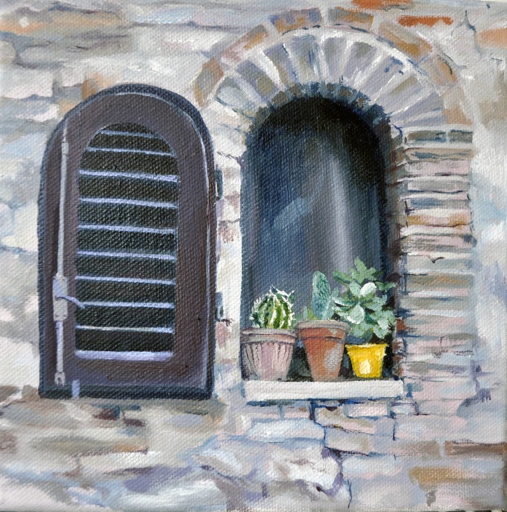 cactus-sul-davanzale-della-finestra