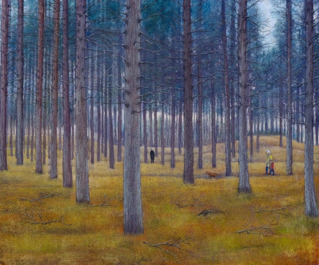John-Rowland-Culbin-Forest-1