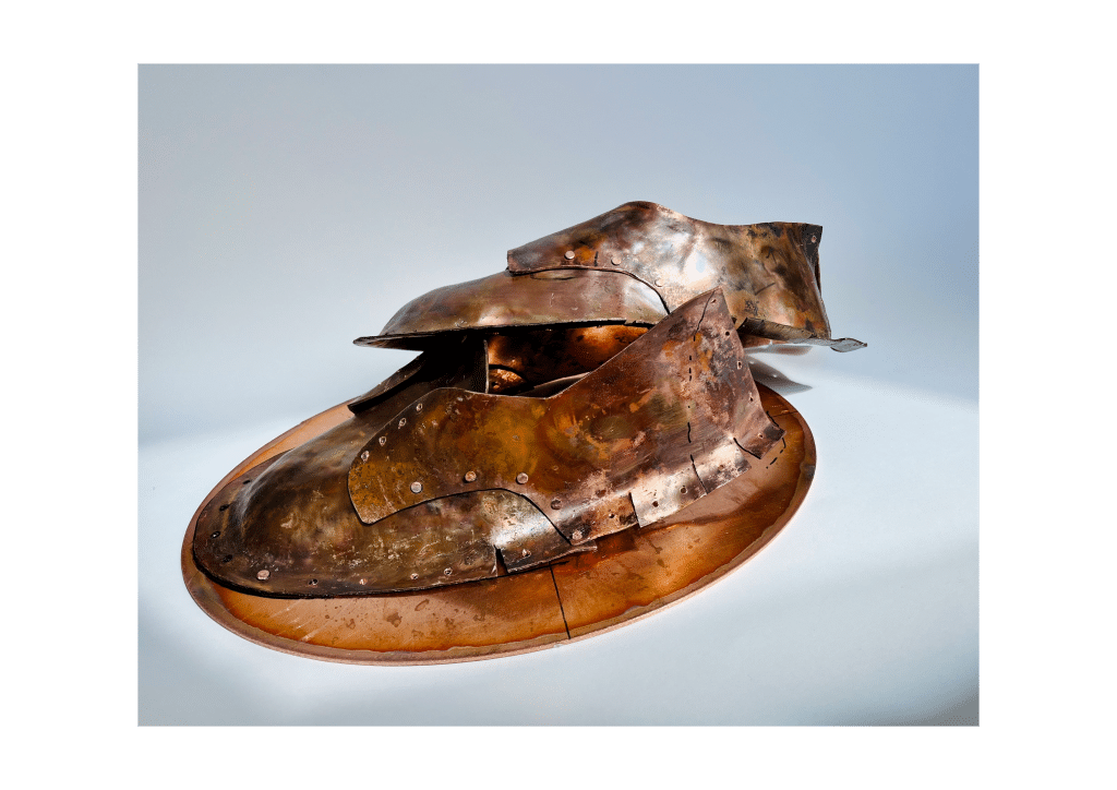 Image1_Copper Shoes