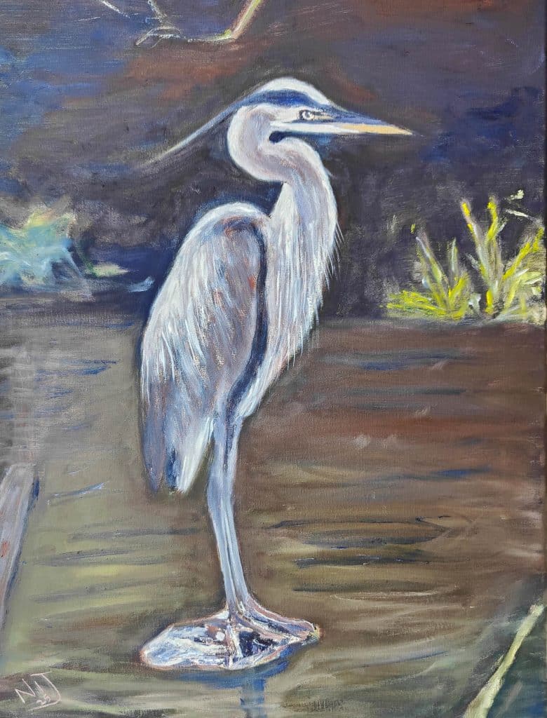 Heron-Victoria-Park-Resized