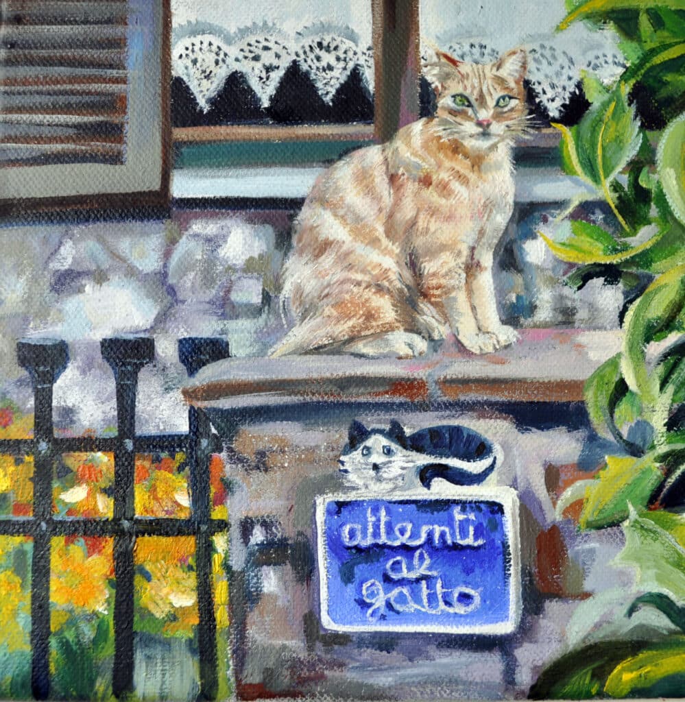 CK-attenti-al-gatto
