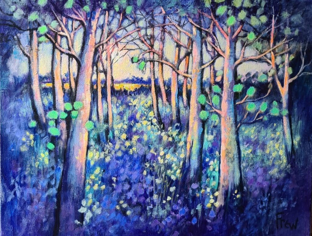 Bluebell woods